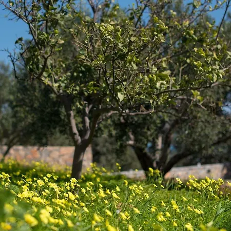 Dream House בית נופש *